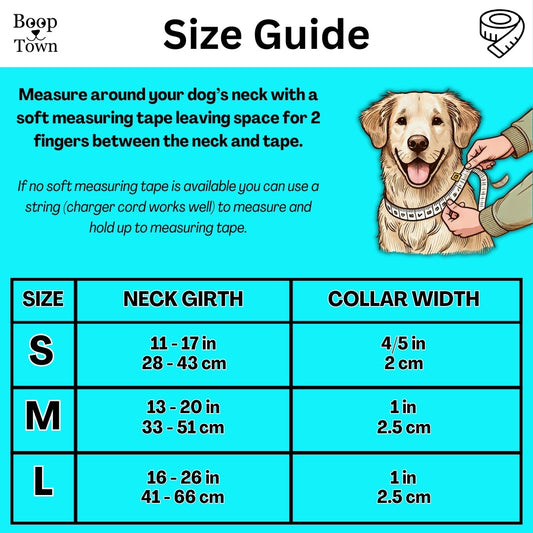 Chickens Collar + Leash Set