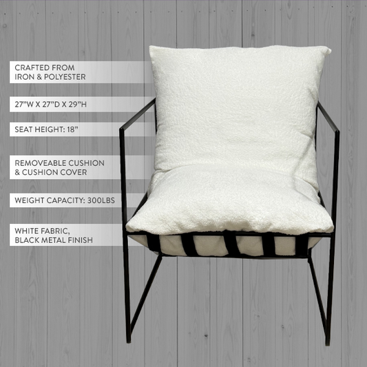 Modern Lounge Chair with Removable Cushion