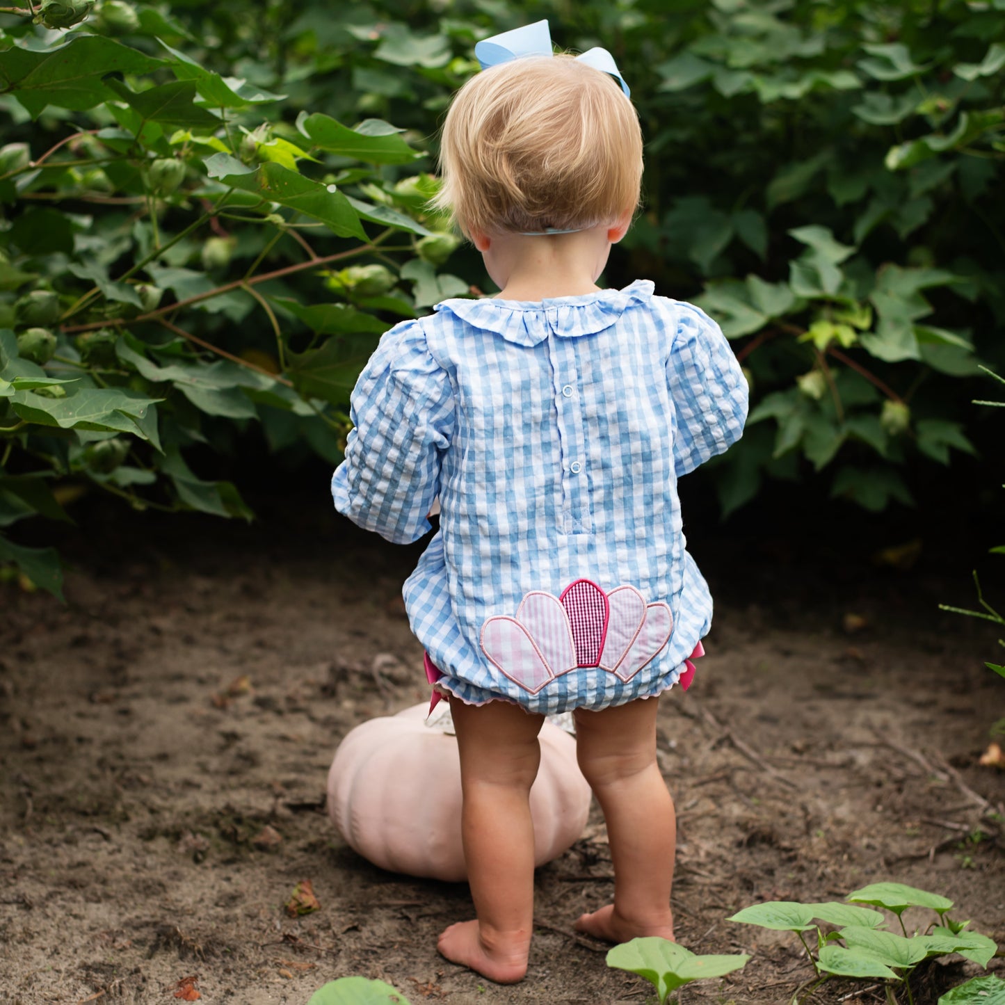 Thanksgiving Turkey Bubble