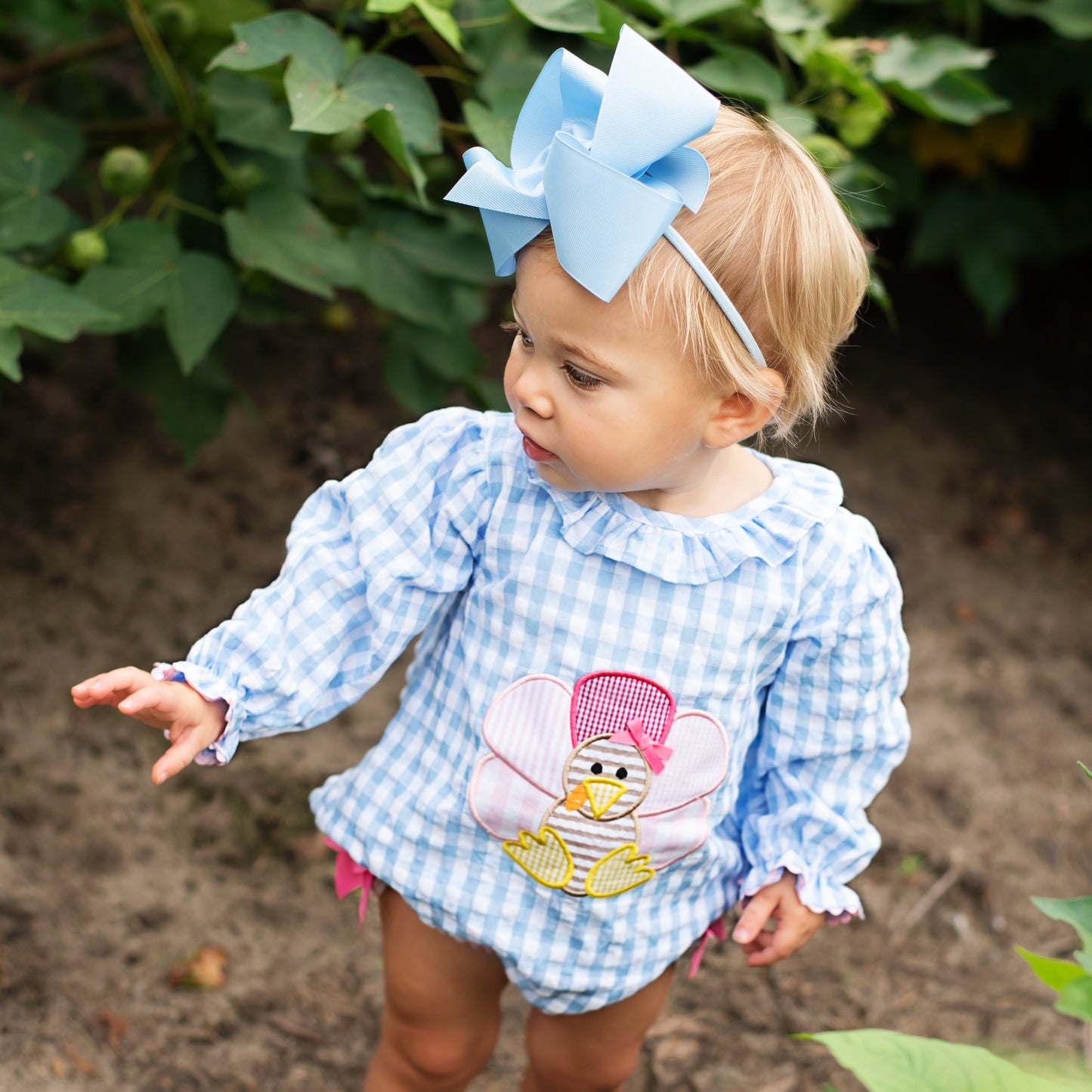 Thanksgiving Turkey Bubble