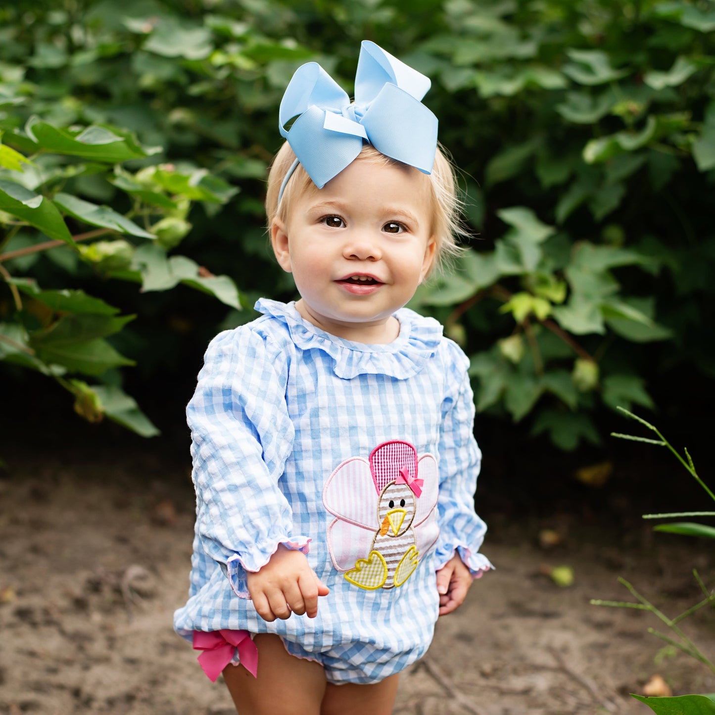 Thanksgiving Turkey Bubble