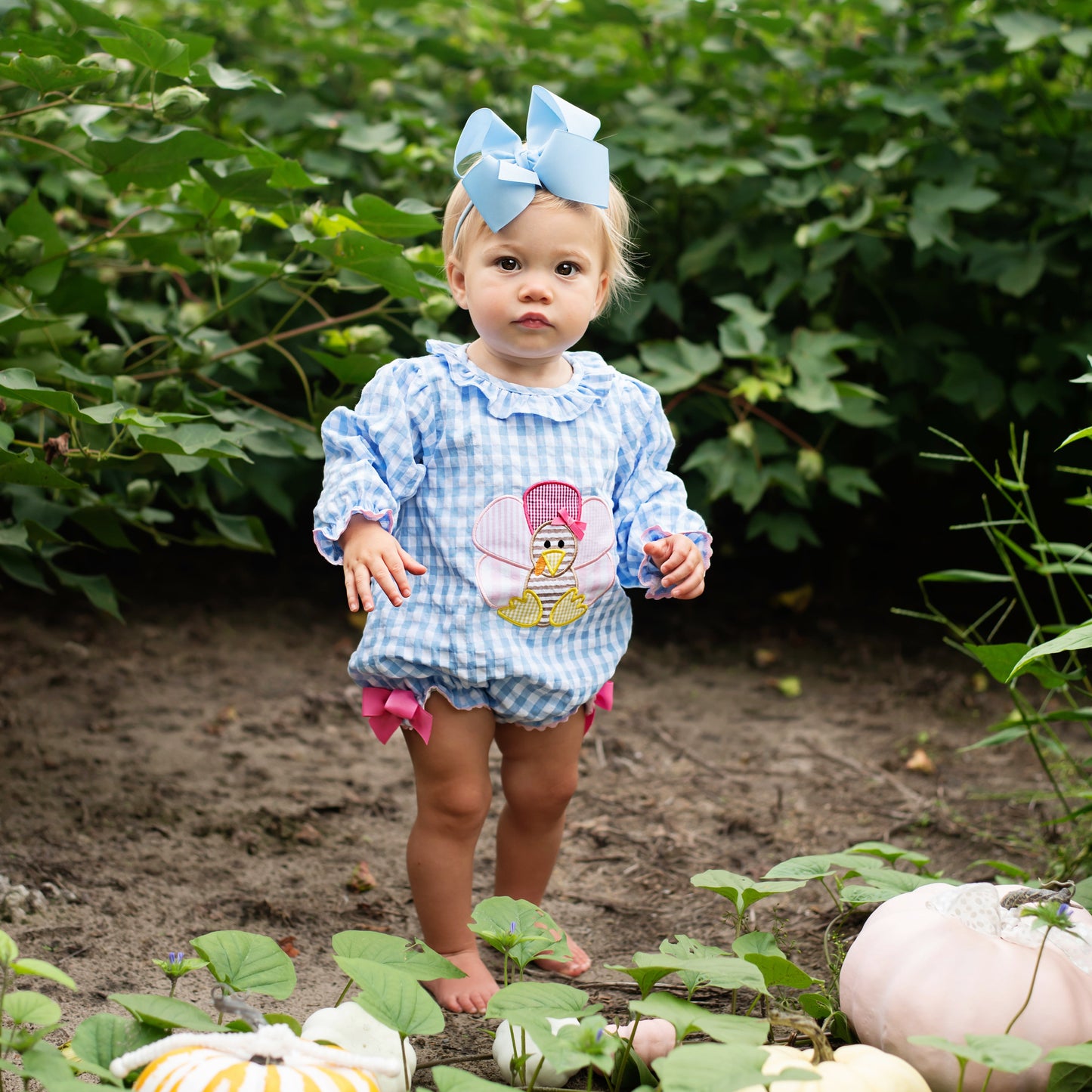 Thanksgiving Turkey Bubble